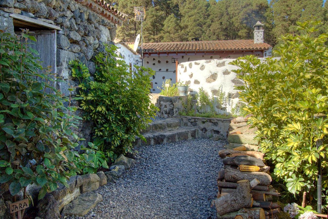 إيكود ذي لوس فينوس Holidaynorthtenerife Casa Rural Montiel المظهر الخارجي الصورة