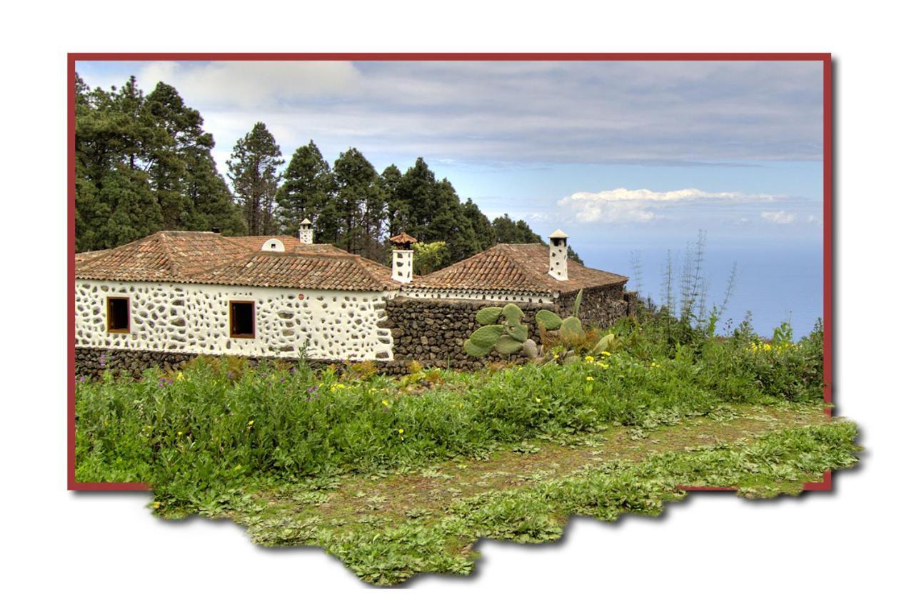إيكود ذي لوس فينوس Holidaynorthtenerife Casa Rural Montiel المظهر الخارجي الصورة